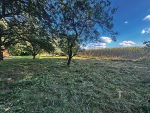 Prodej zahrady, Modřice, 851 m2