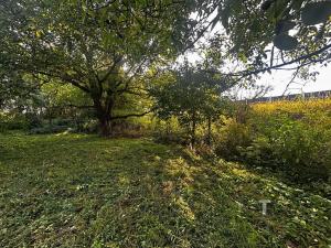 Prodej zahrady, Modřice, 851 m2