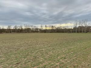 Prodej komerčního pozemku, Malotice, 12163 m2