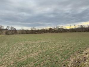 Prodej komerčního pozemku, Malotice, 12163 m2