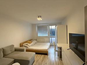 Pronájem bytu 1+kk, Zlín, Družstevní, 32 m2