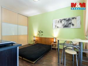 Prodej bytu 1+kk, Brno, Leitnerova, 21 m2