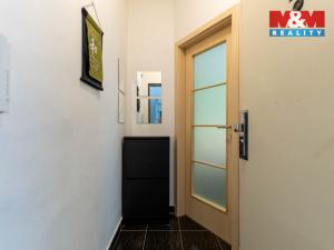 Prodej bytu 1+kk, Brno, Leitnerova, 21 m2