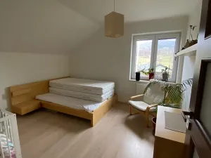 Pronájem rodinného domu, Česká Ves, Malá, 140 m2