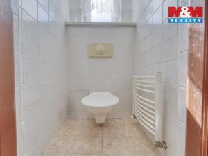 Prodej rodinného domu, Velká Hleďsebe, Pohraniční stráže, 153 m2