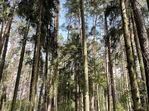 Prodej podílu pozemku, Velký Ratmírov, 3510 m2