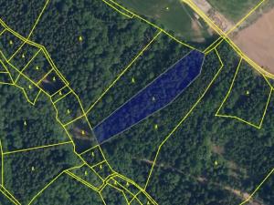 Prodej podílu lesa, Malá Skála, 3582 m2