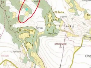 Prodej podílu lesa, Vysoká, 2782 m2