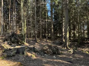 Prodej podílu pozemku, Studená, 18432 m2