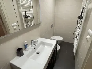 Prodej bytu 5+kk, Praha - Žižkov, Ke kapslovně, 147 m2