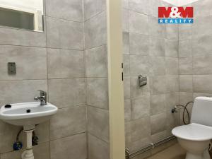 Pronájem obchodního prostoru, Hora Svatého Šebestiána, 160 m2