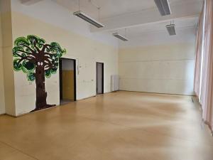Pronájem komerční nemovitosti, Brno, Botanická, 105 m2