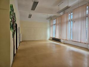 Pronájem komerční nemovitosti, Brno, Botanická, 105 m2
