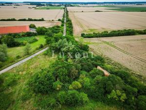 Prodej zemědělského objektu, Běrunice, 600 m2