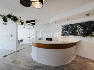 Pronájem kanceláře, Praha - Nové Město, Václavské náměstí, 475 m2