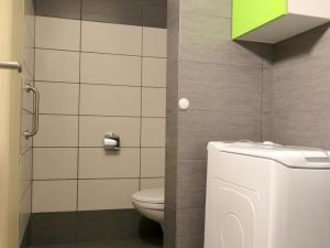 Pronájem bytu 1+kk, Hradec Králové, Střelecká, 43 m2