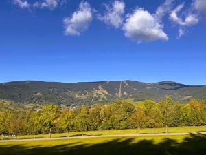 Prodej rodinného domu, Jablonec nad Jizerou - Blansko, 224 m2