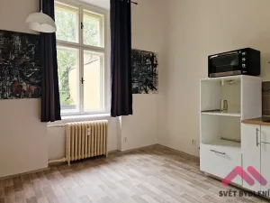 Pronájem bytu 2+kk, Praha - Nové Město, Mezibranská, 45 m2