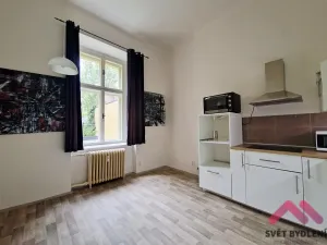 Pronájem bytu 2+kk, Praha - Nové Město, Mezibranská, 45 m2