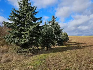 Dražba pozemku, Brno, 994 m2