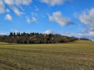 Dražba pozemku, Brno, 994 m2