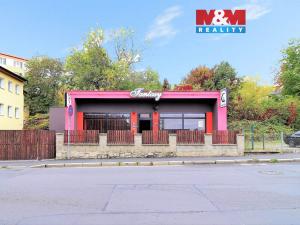 Pronájem obchodního prostoru, Cheb, Havlíčkova, 170 m2