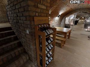 Prodej vícegeneračního domu, Dolní Bojanovice, Vinařská, 367 m2