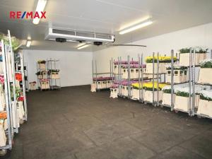 Pronájem skladu, Spálené Poříčí, Zámecká, 50 m2