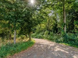 Prodej pozemku pro bydlení, Orlová, 880 m2