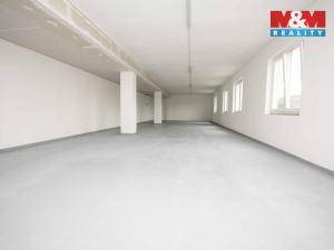 Pronájem skladu, Radošovice, 129 m2