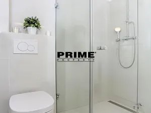 Pronájem bytu 3+kk, Praha - Vinohrady, Anny Letenské, 84 m2