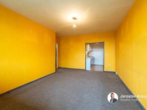 Prodej bytu 3+kk, Praha - Chodov, Modletická, 58 m2