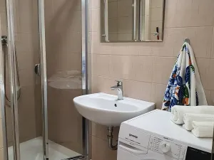 Pronájem bytu 1+kk, Plzeň, Žlutická, 36 m2