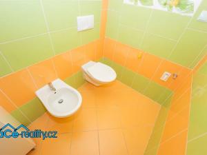 Prodej rodinného domu, Újezd u Chocně, 170 m2