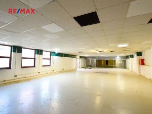 Pronájem výrobních prostor, Frýdek-Místek, Třebízského, 220 m2
