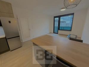 Pronájem bytu 2+kk, Praha - Žižkov, Olgy Havlové, 46 m2