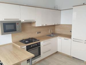 Pronájem bytu 1+1, Cheb, Hrnčířská, 42 m2