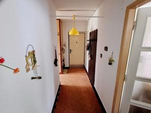 Prodej bytu 2+1, Police nad Metují, 70 m2