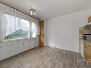 Prodej bytu 1+1, Plzeň, Žlutická, 39 m2