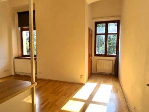 Pronájem bytu 1+kk, Plzeň, Nerudova, 33 m2
