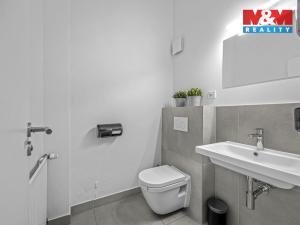 Pronájem obchodního prostoru, Praha - Smíchov, Zborovská, 180 m2