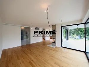 Pronájem rodinného domu, Praha - Řepy, U Lesoparku, 408 m2