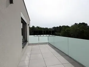 Pronájem rodinného domu, Praha - Řepy, U Lesoparku, 408 m2