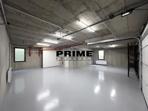 Pronájem rodinného domu, Praha - Řepy, U Lesoparku, 408 m2