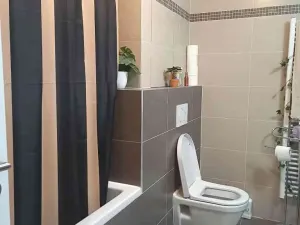 Prodej bytu 2+kk, Brno, Kigginsova, 52 m2