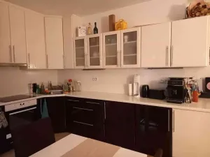 Prodej bytu 2+kk, Brno, Kigginsova, 52 m2