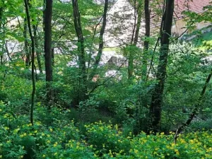 Prodej pozemku, Bechyně, 7030 m2