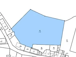 Prodej pozemku, Bechyně, 7030 m2