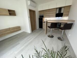 Pronájem bytu 2+kk, Brno, třída Generála Píky, 50 m2