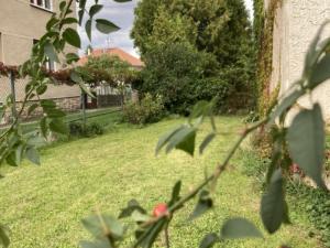 Prodej rodinného domu, Čelákovice - Sedlčánky, Fučíkova, 180 m2